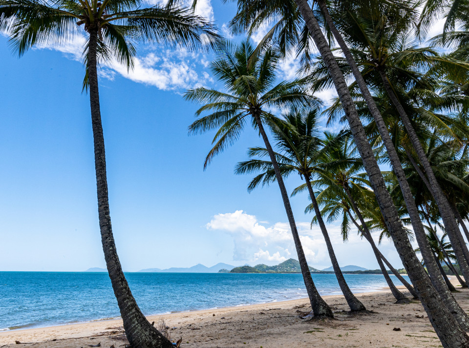 Palm Cove Beach in Queensland.